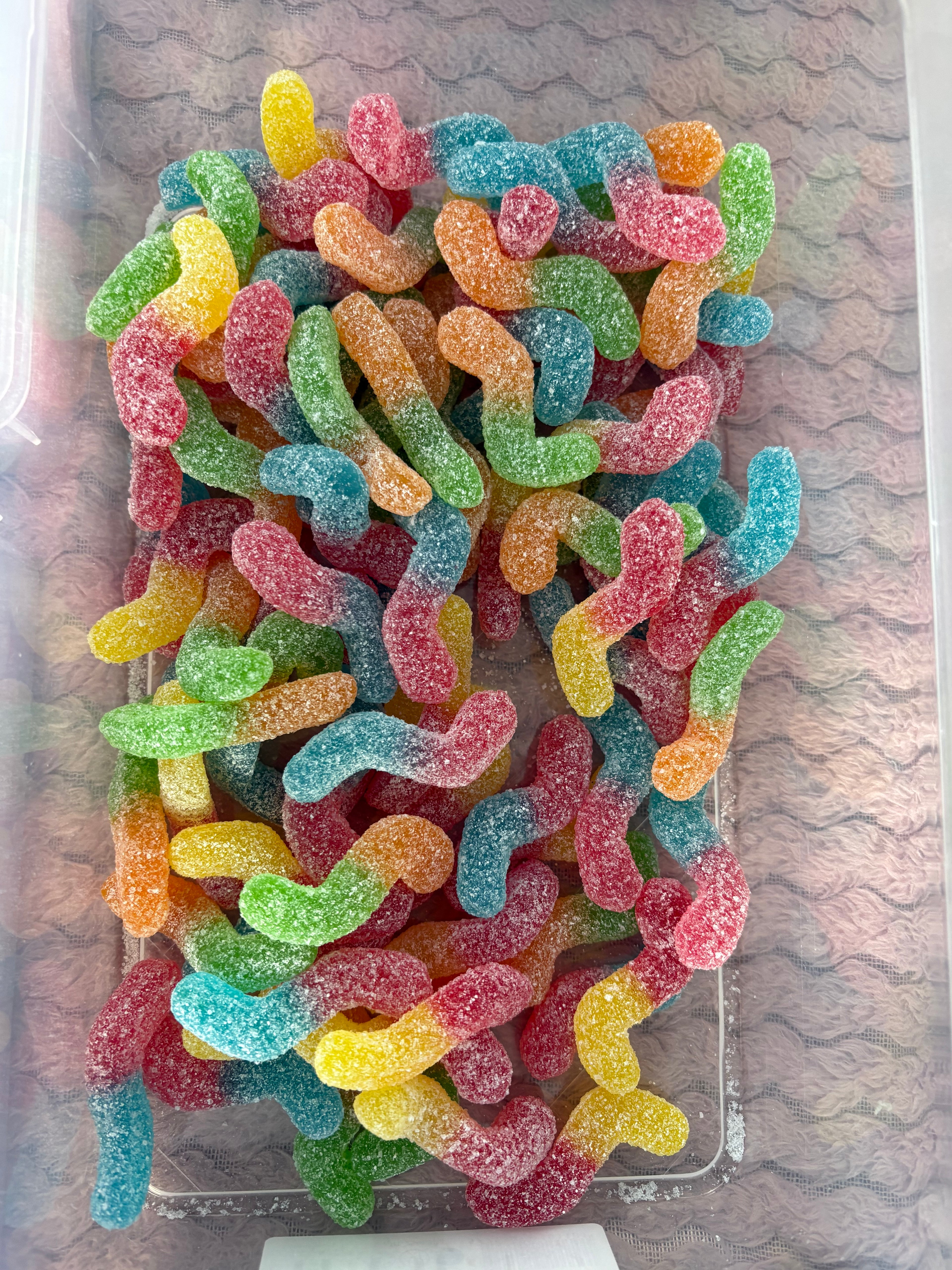 Vers Sucré ( Asticot )